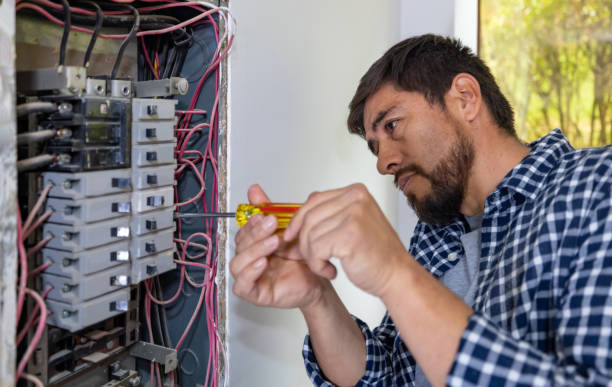 Best Residential Electrician Services  in Homer, AK